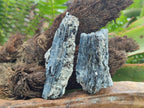Natural Blue Kyanite Crystals x 35 From Karoi, Zimbabwe - Toprock Gemstones and Minerals 