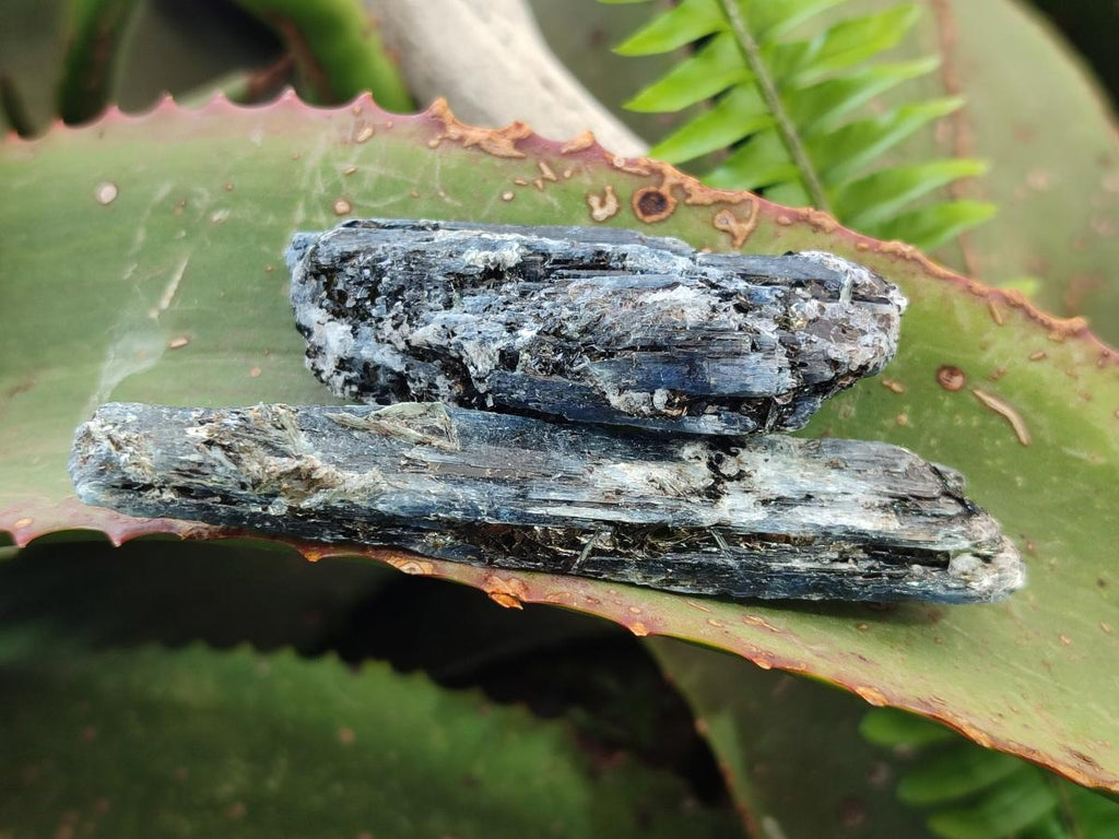 Natural Blue Kyanite Crystals x 35 From Karoi, Zimbabwe - Toprock Gemstones and Minerals 