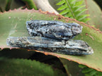 Natural Blue Kyanite Crystals x 35 From Karoi, Zimbabwe - Toprock Gemstones and Minerals 
