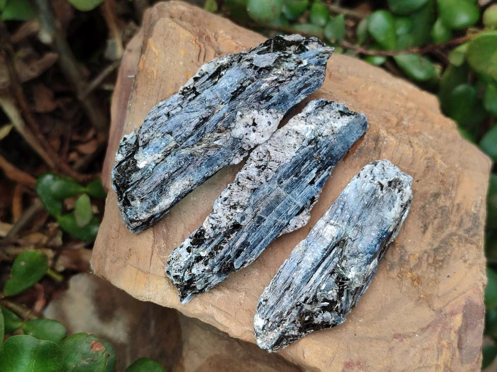 Natural Blue Kyanite Crystals x 35 From Karoi, Zimbabwe - Toprock Gemstones and Minerals 