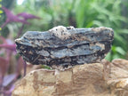 Natural Blue Kyanite Crystals x 35 From Karoi, Zimbabwe - Toprock Gemstones and Minerals 