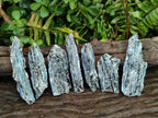 Natural Blue Kyanite Crystals x 35 From Karoi, Zimbabwe - Toprock Gemstones and Minerals 