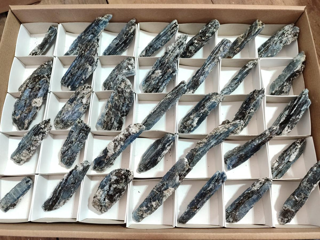 Natural Blue Kyanite Crystals x 35 From Karoi, Zimbabwe - Toprock Gemstones and Minerals 