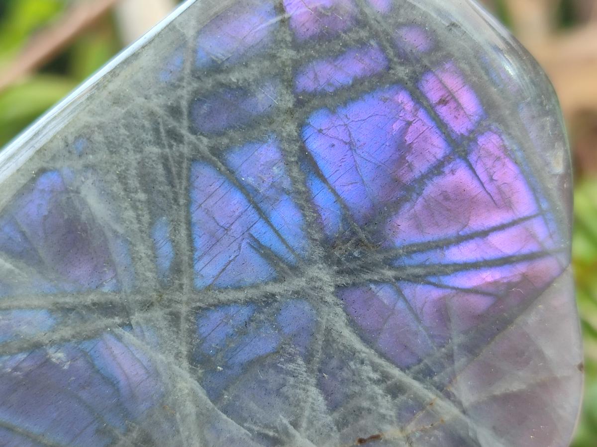 Polished Rare Purple Sunset Flash Labradorite Standing Display Pieces x 6 From Madagascar - Toprock Gemstones and Minerals 