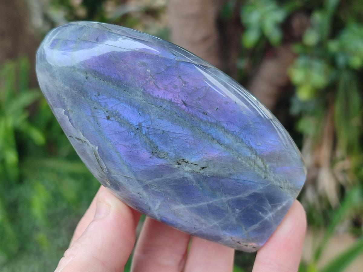 Polished Rare Purple Sunset Flash Labradorite Standing Display Pieces x 6 From Madagascar - Toprock Gemstones and Minerals 