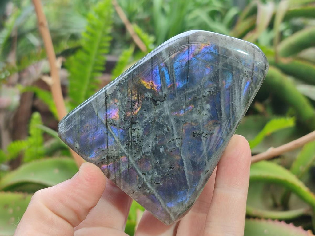 Polished Rare Purple Sunset Flash Labradorite Standing Display Pieces x 6 From Madagascar - Toprock Gemstones and Minerals 