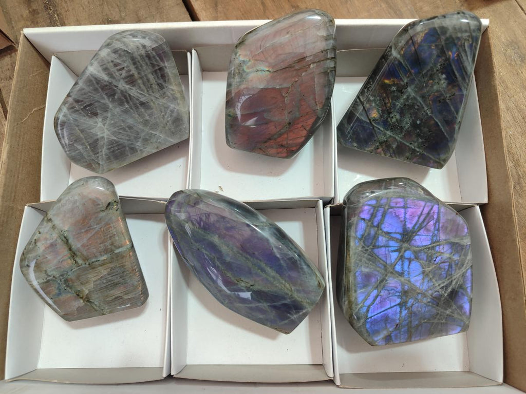 Polished Rare Purple Sunset Flash Labradorite Standing Display Pieces x 6 From Madagascar - Toprock Gemstones and Minerals 