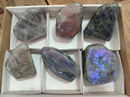 Polished Rare Purple Sunset Flash Labradorite Standing Display Pieces x 6 From Madagascar - Toprock Gemstones and Minerals 