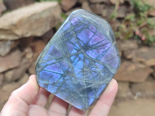 Polished Rare Purple Sunset Flash Labradorite Standing Display Pieces x 6 From Madagascar - Toprock Gemstones and Minerals 