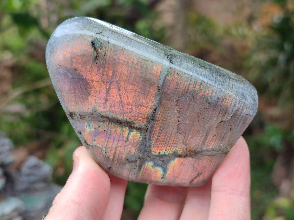 Polished Rare Purple Sunset Flash Labradorite Standing Display Pieces x 6 From Madagascar - Toprock Gemstones and Minerals 