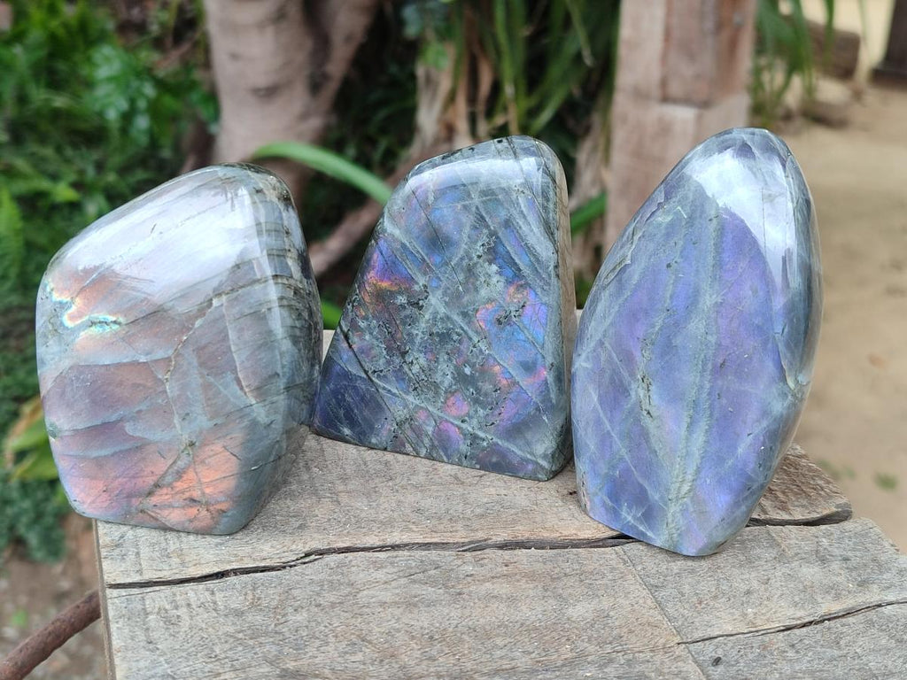 Polished Rare Purple Sunset Flash Labradorite Standing Display Pieces x 6 From Madagascar - Toprock Gemstones and Minerals 