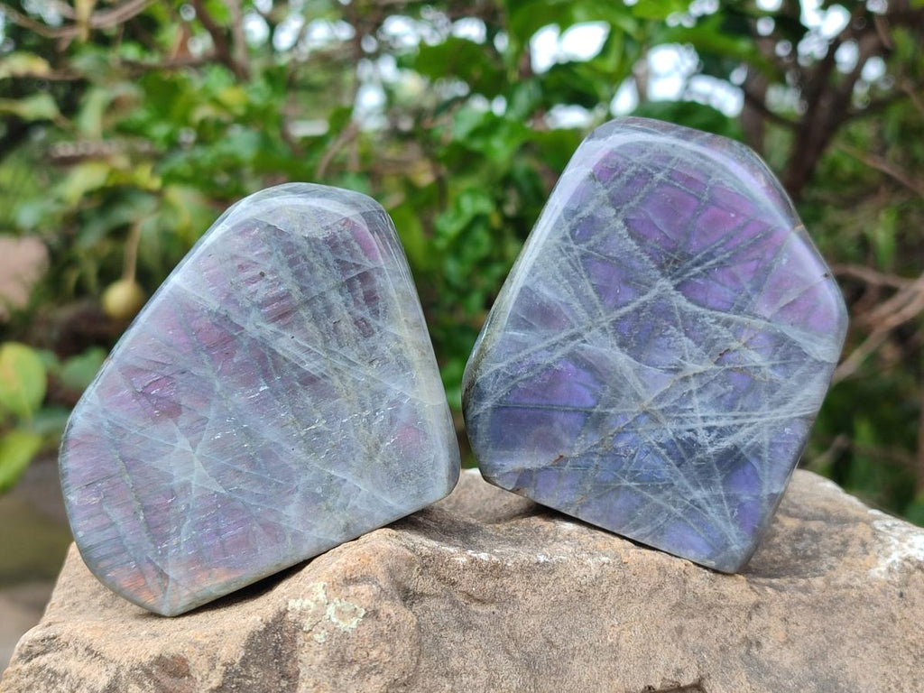 Polished Rare Purple Sunset Flash Labradorite Standing Display Pieces x 6 From Madagascar - Toprock Gemstones and Minerals 