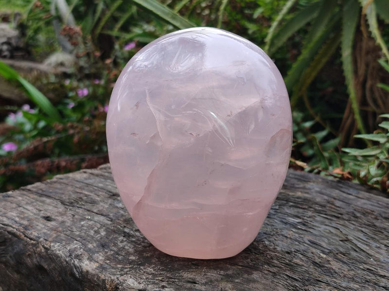 Polished Large Gemmy Rose Quartz Standing Display Piece x 1 From Madagascar - Toprock Gemstones and Minerals 