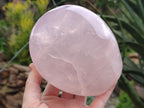 Polished Large Gemmy Rose Quartz Standing Display Piece x 1 From Madagascar - Toprock Gemstones and Minerals 