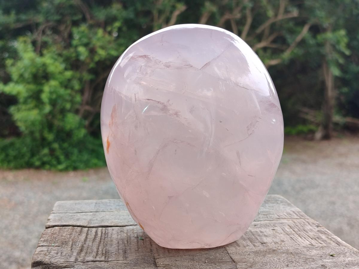 Polished Large Gemmy Rose Quartz Standing Display Piece x 1 From Madagascar - Toprock Gemstones and Minerals 