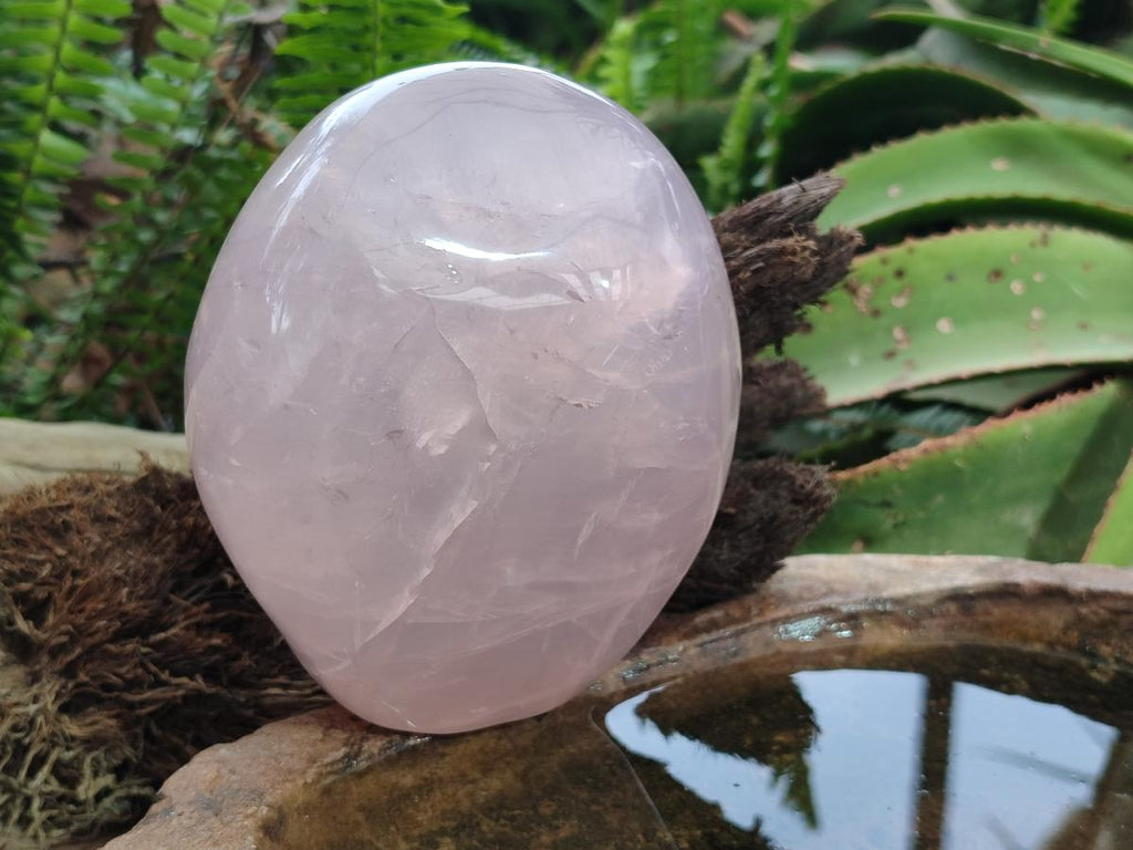 Polished Large Gemmy Rose Quartz Standing Display Piece x 1 From Madagascar - Toprock Gemstones and Minerals 