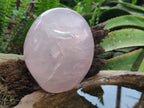 Polished Large Gemmy Rose Quartz Standing Display Piece x 1 From Madagascar - Toprock Gemstones and Minerals 