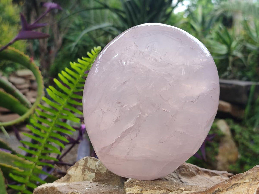 Polished Large Gemmy Rose Quartz Standing Display Piece x 1 From Madagascar - Toprock Gemstones and Minerals 