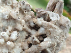 Natural Rhombohedral and Spearhead Calcite Specimens with Phosphorus Aragonite x 2 From Albert's Mountain, Lesotho - Toprock Gemstones and Minerals 