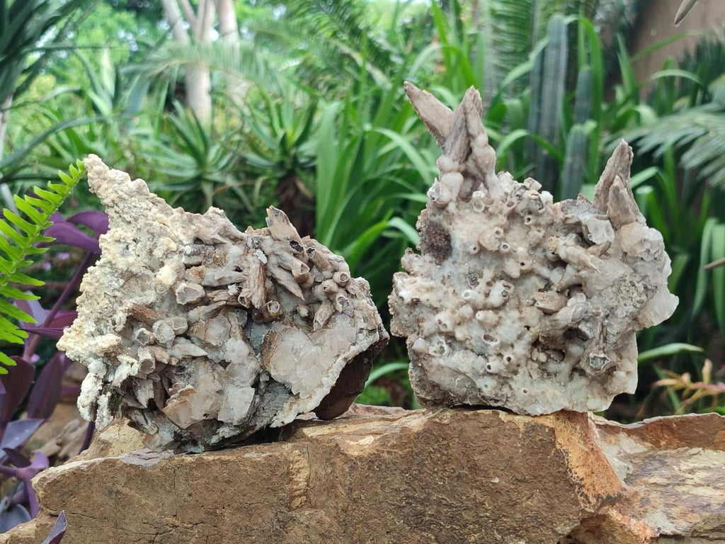 Natural Rhombohedral and Spearhead Calcite Specimens with Phosphorus Aragonite x 2 From Albert's Mountain, Lesotho - Toprock Gemstones and Minerals 
