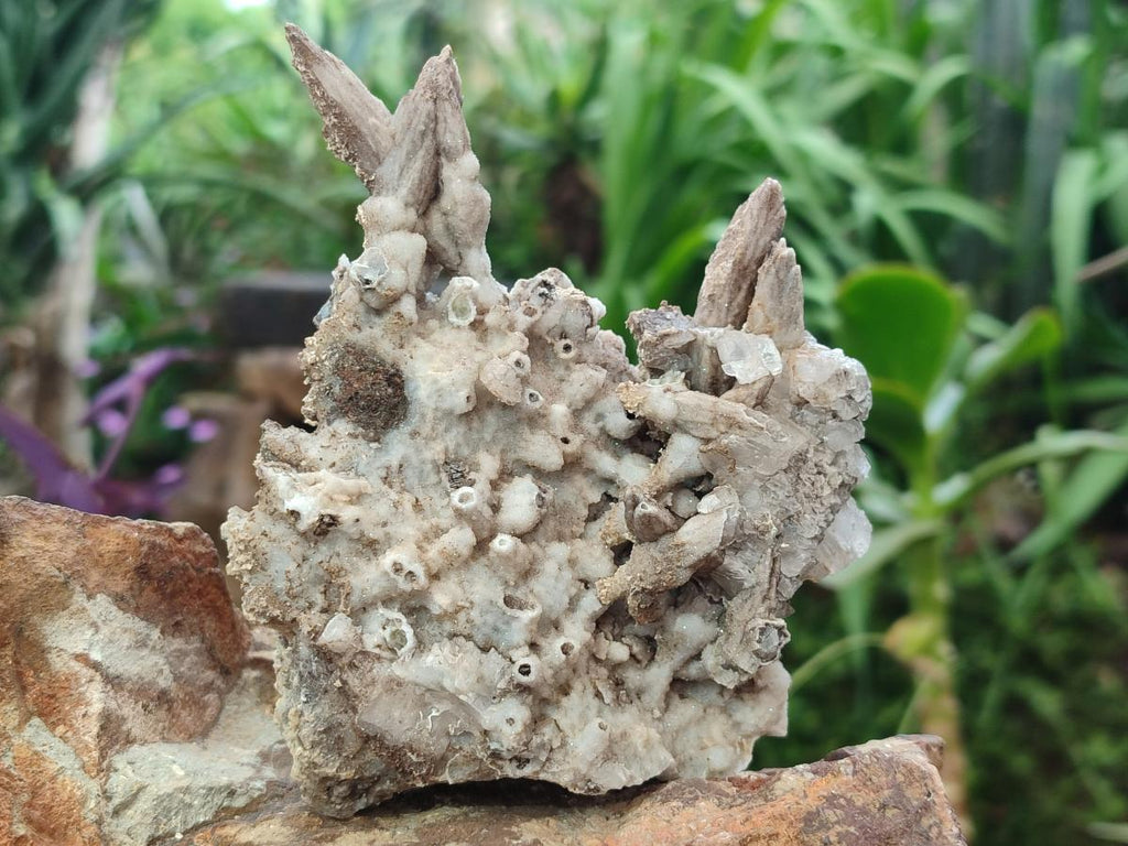 Natural Rhombohedral and Spearhead Calcite Specimens with Phosphorus Aragonite x 2 From Albert's Mountain, Lesotho - Toprock Gemstones and Minerals 