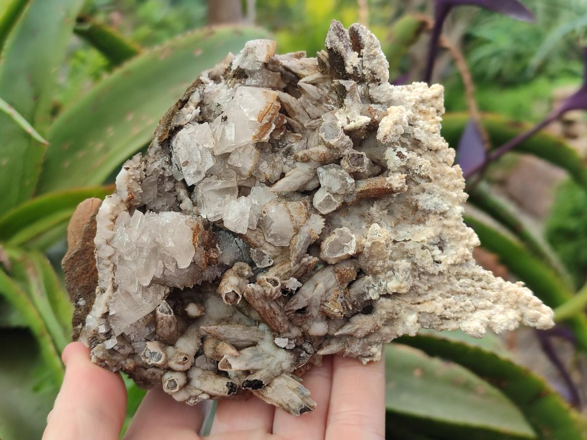 Natural Rhombohedral and Spearhead Calcite Specimens with Phosphorus Aragonite x 2 From Albert's Mountain, Lesotho - Toprock Gemstones and Minerals 