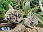 Natural Rhombohedral and Spearhead Calcite Specimens with Phosphorus Aragonite x 2 From Albert's Mountain, Lesotho - Toprock Gemstones and Minerals 