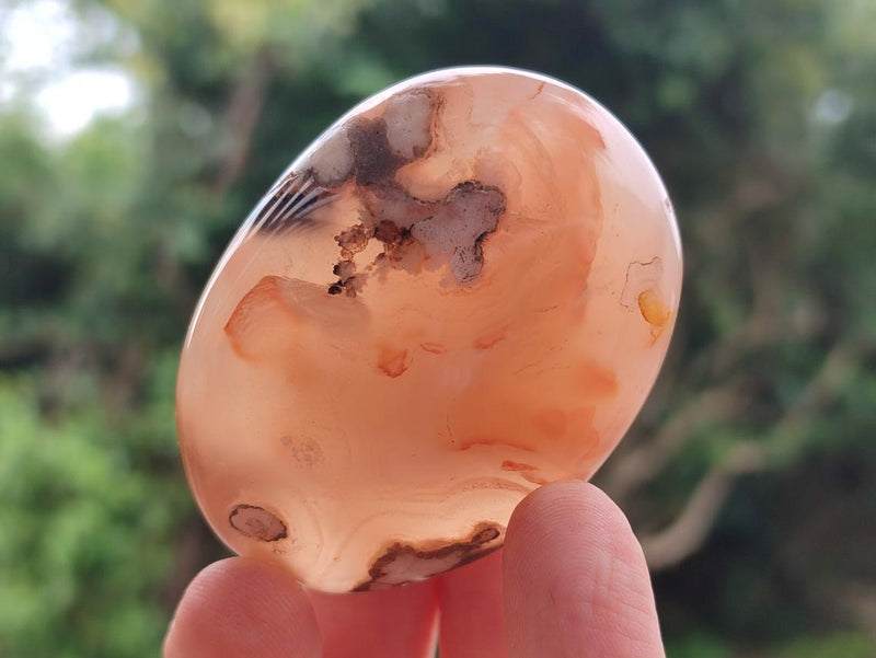 Polished Flower Agate Palm Stones x 12 From Antsahalova, Madagascar - Toprock Gemstones and Minerals 