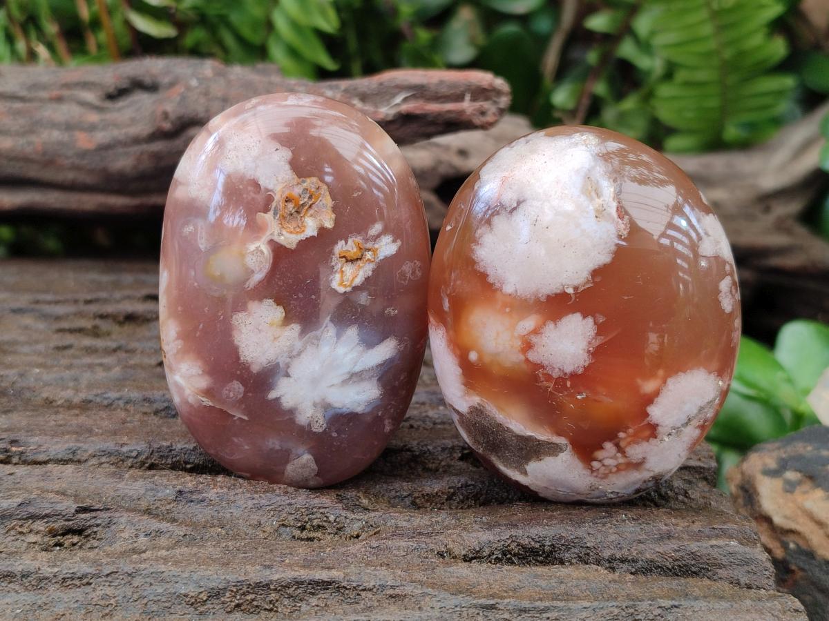 Polished Flower Agate Palm Stones x 12 From Antsahalova, Madagascar - Toprock Gemstones and Minerals 