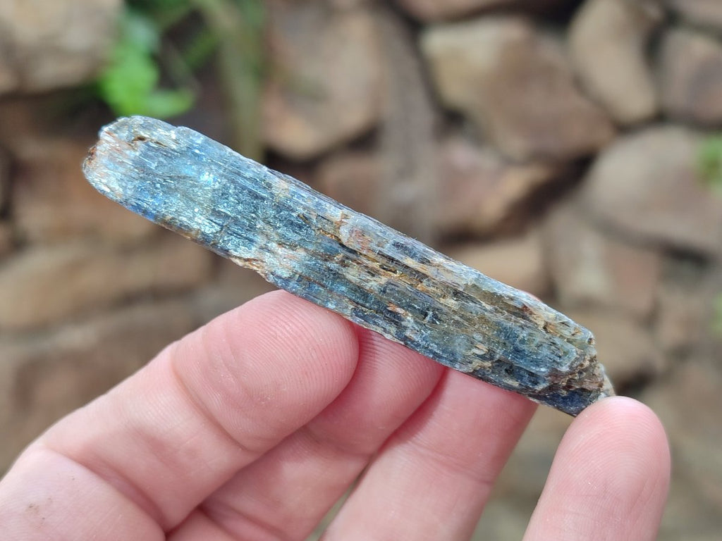 Natural Kyanite Blue Crystals x 1.56 Kg Lot From Karoi, Zimbabwe