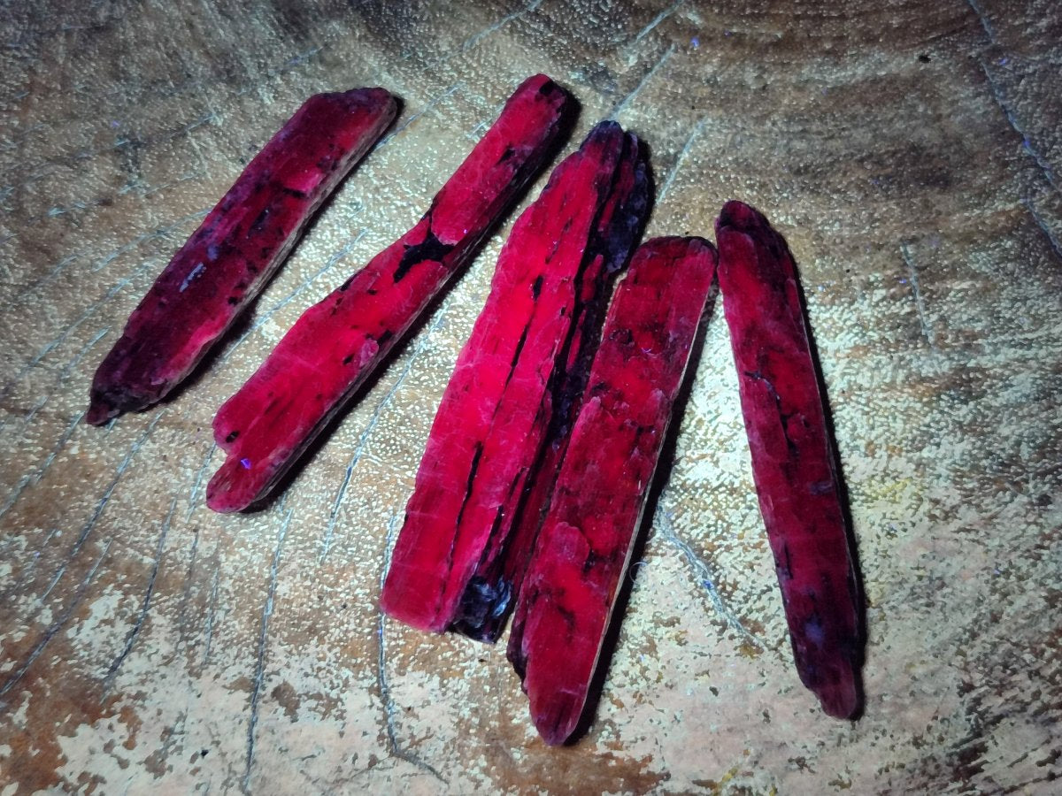 Natural Kyanite Blue Crystals x 1.56 Kg Lot From Karoi, Zimbabwe
