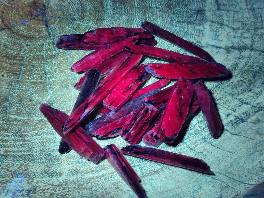 Natural Kyanite Blue Crystals x 1.56 Kg Lot From Karoi, Zimbabwe