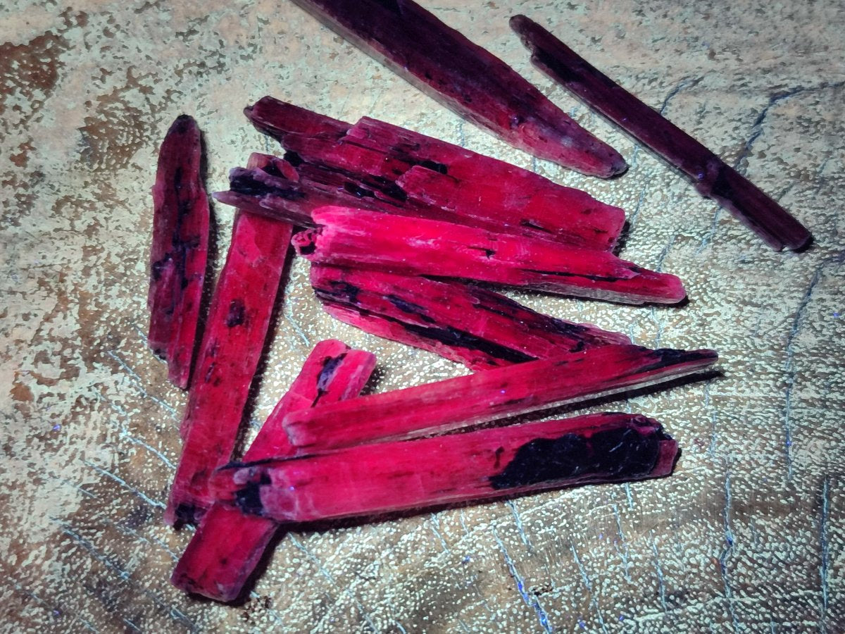 Natural Kyanite Blue Crystals x 1.56 Kg Lot From Karoi, Zimbabwe