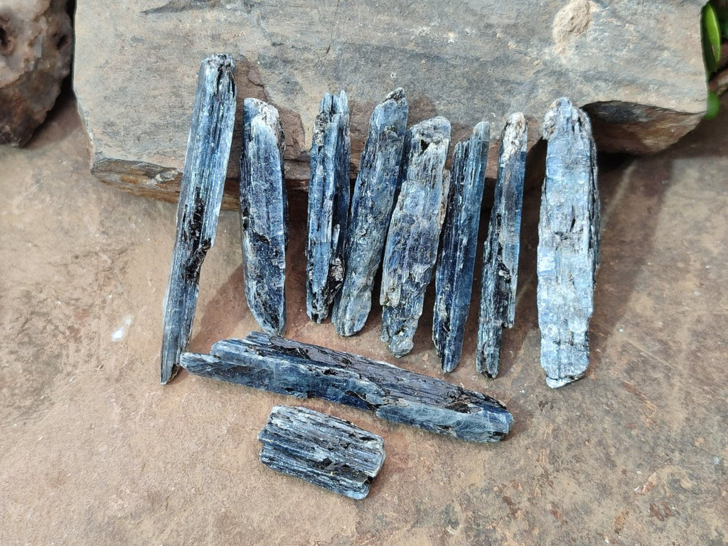 Natural Kyanite Blue Crystals x 1.56 Kg Lot From Karoi, Zimbabwe