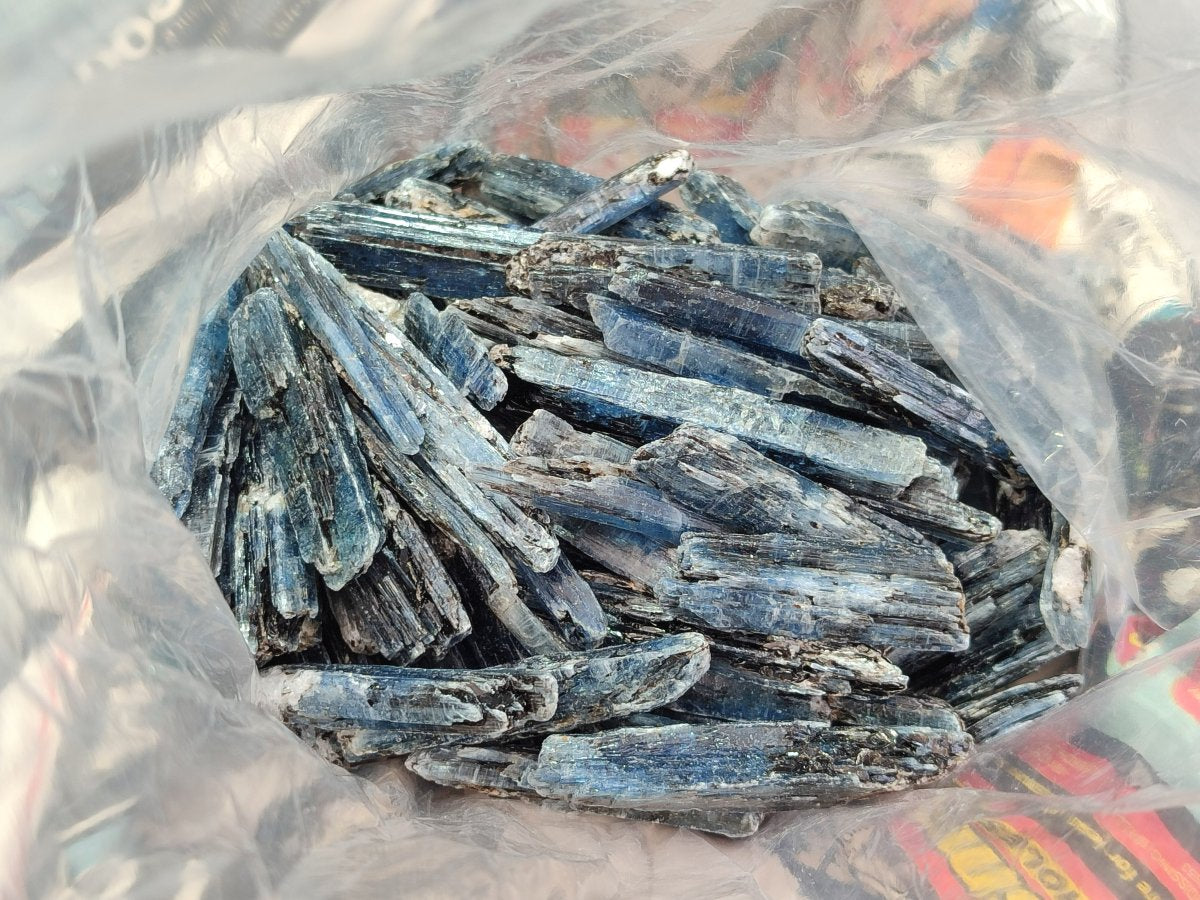 Natural Kyanite Blue Crystals x 1.56 Kg Lot From Karoi, Zimbabwe