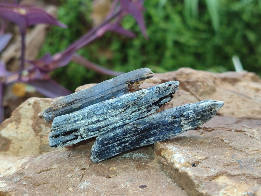 Natural Kyanite Blue Crystals x 1.56 Kg Lot From Karoi, Zimbabwe