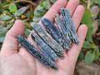 Natural Kyanite Blue Crystals x 1.56 Kg Lot From Karoi, Zimbabwe