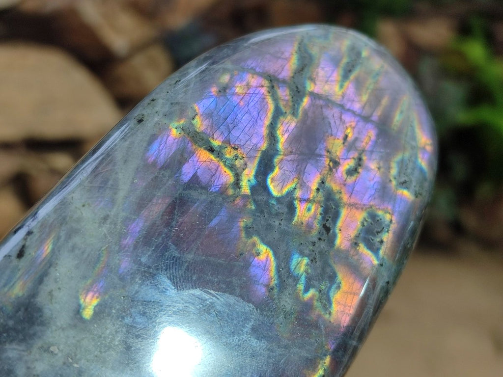 Polished Rare Purple Sunset Flash Labradorite Standing Display Pieces x 2 From Madagascar