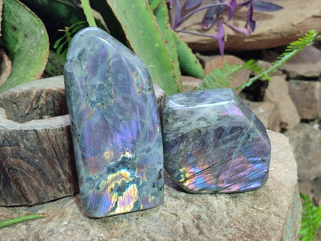 Polished Rare Purple Sunset Flash Labradorite Standing Display Pieces x 2 From Madagascar
