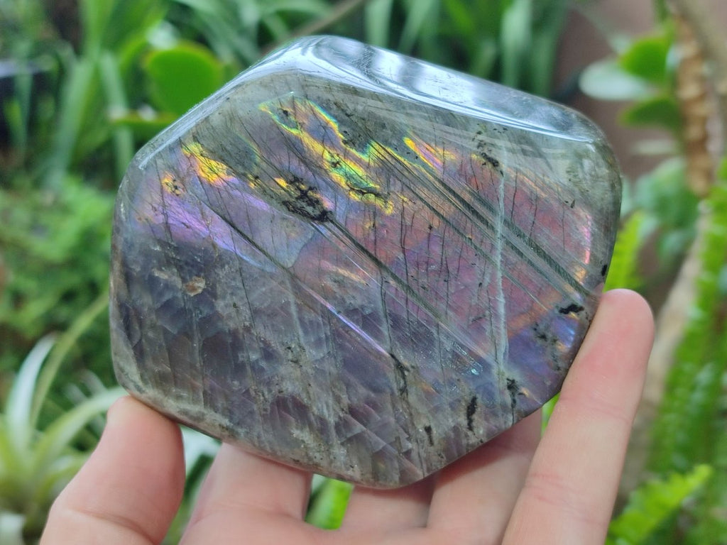 Polished Rare Purple Sunset Flash Labradorite Standing Display Pieces x 2 From Madagascar