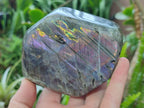 Polished Rare Purple Sunset Flash Labradorite Standing Display Pieces x 2 From Madagascar