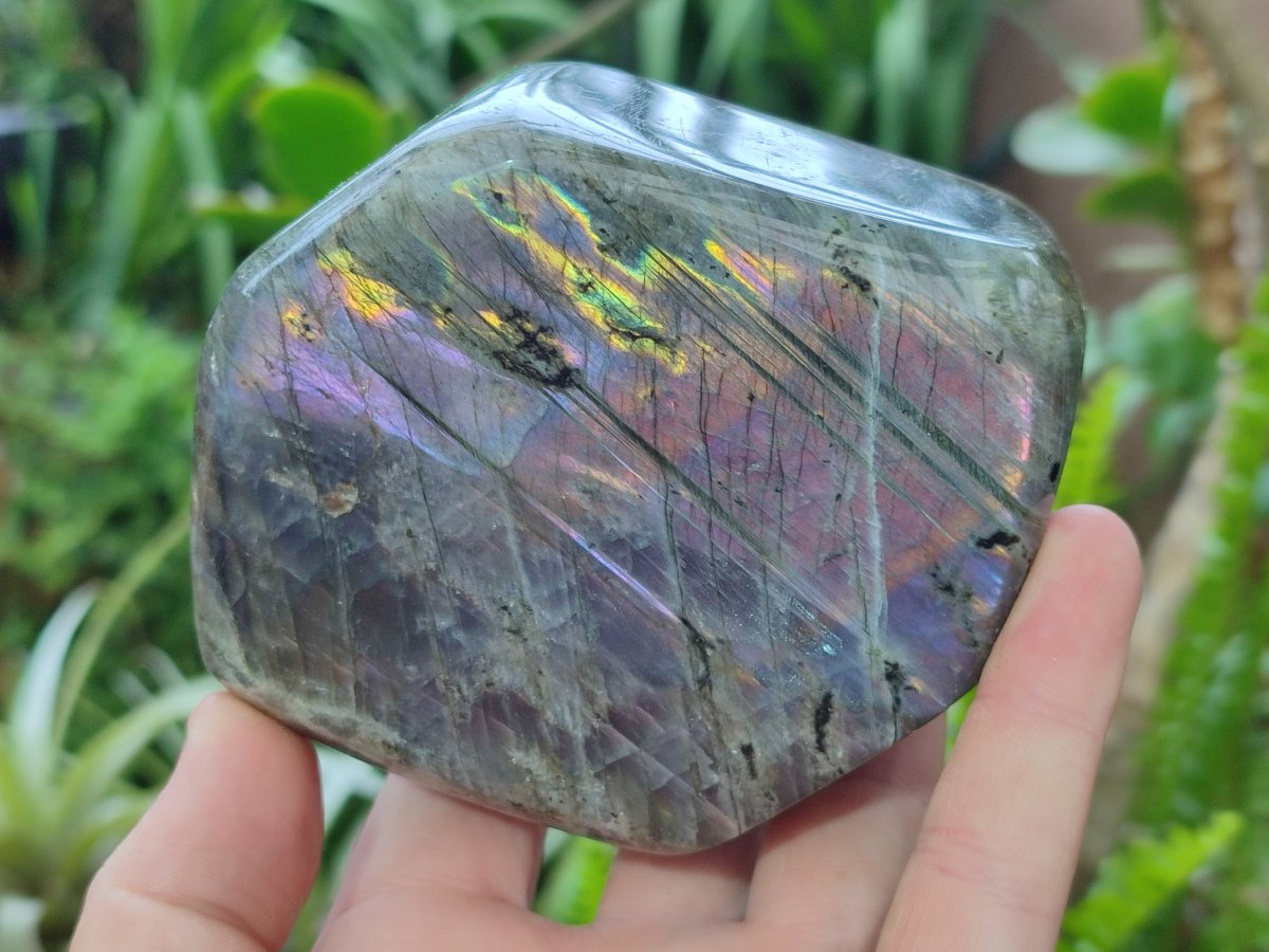 Polished Rare Purple Sunset Flash Labradorite Standing Display Pieces x 2 From Madagascar