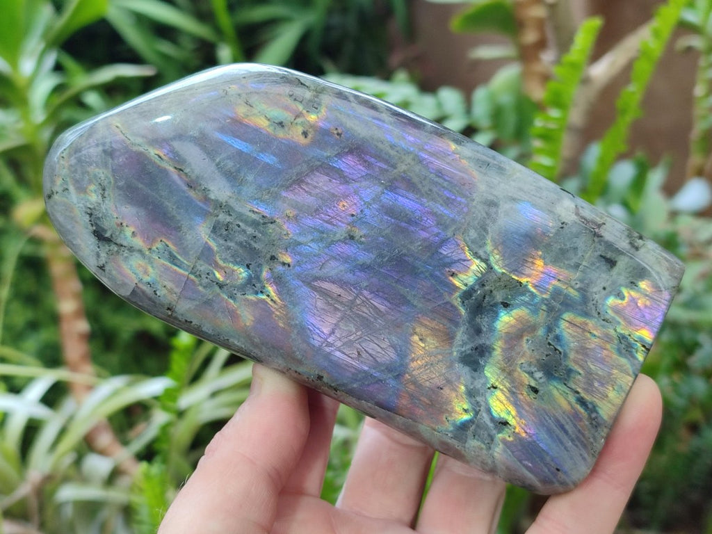 Polished Rare Purple Sunset Flash Labradorite Standing Display Pieces x 2 From Madagascar