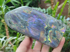 Polished Rare Purple Sunset Flash Labradorite Standing Display Pieces x 2 From Madagascar