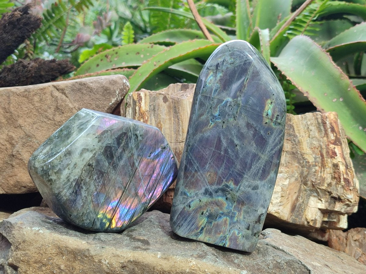 Polished Rare Purple Sunset Flash Labradorite Standing Display Pieces x 2 From Madagascar