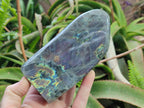 Polished Rare Purple Sunset Flash Labradorite Standing Display Pieces x 2 From Madagascar