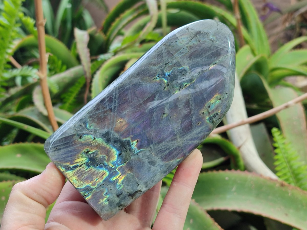 Polished Rare Purple Sunset Flash Labradorite Standing Display Pieces x 2 From Madagascar