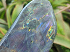Polished Rare Purple Sunset Flash Labradorite Standing Display Pieces x 2 From Madagascar