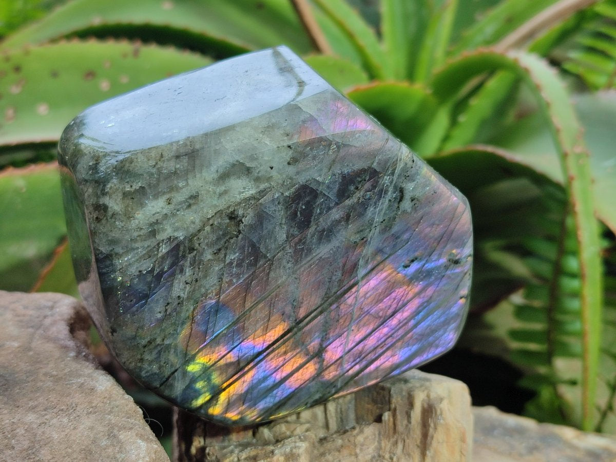 Polished Rare Purple Sunset Flash Labradorite Standing Display Pieces x 2 From Madagascar