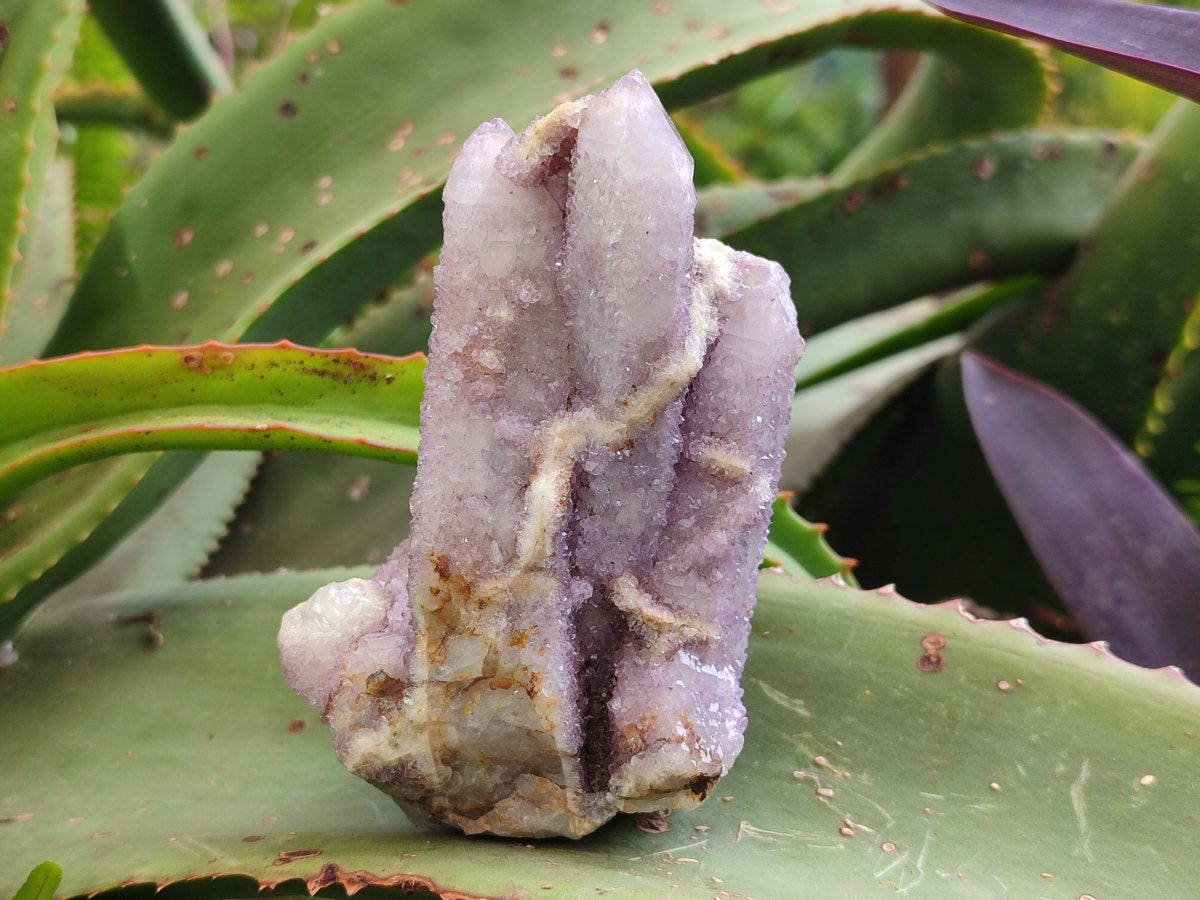 Natural Mix of Spirit Quartz Clusters x 7 From Boekenhouthoek, South Africa